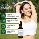 Leefy Organics Prana Turmeric & Ginger