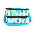 Arctic Zone Dual Compartment Lunch Pack