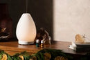 Lustre Artisan Diffuser Set