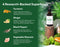 Leefy Organics Prana Turmeric & Ginger
