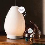 Lustre Artisan Diffuser Set